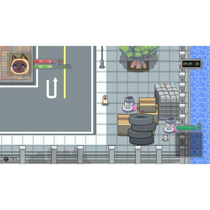 CFK Switchゲームソフト のらねこものがたり ねこねこEdition : コジマ