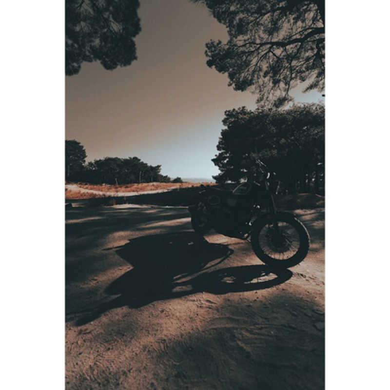 SAMYANG（サムヤン） カメラレンズ (フジフイルムX用) AF 12mm F2 X