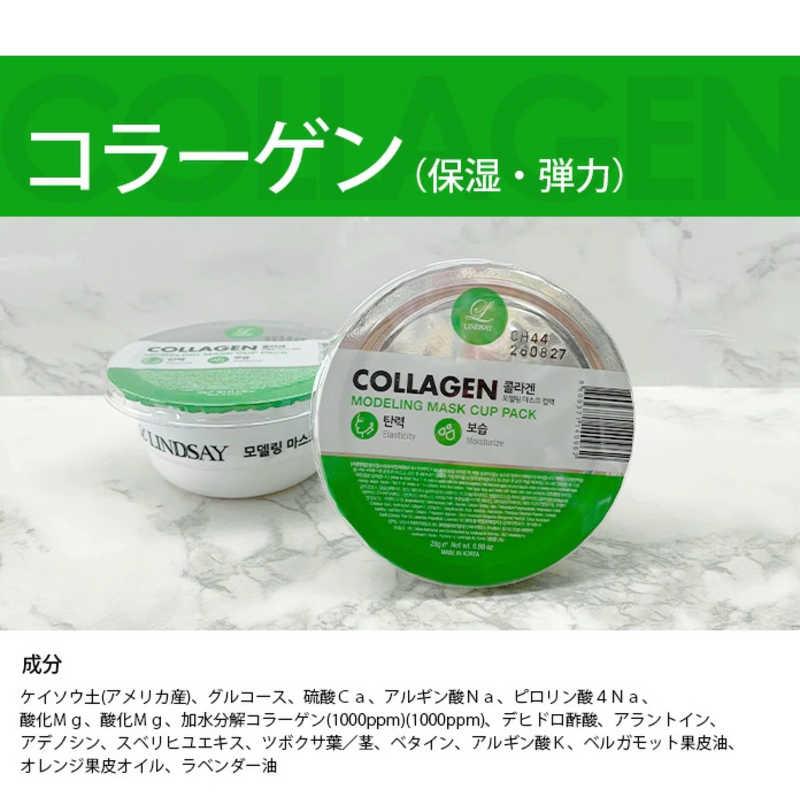 JNグローバル LINDSAY(リンゼイ)モデリングマスク 28g JNグローバル LINDSAY(リンゼイ)モデリングマスク 28g