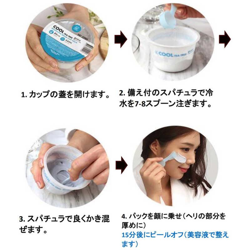 JNグローバル LINDSAY(リンゼイ)モデリングマスク 28g ビタミン JNグローバル LINDSAY(リンゼイ)モデリングマスク 28g ビタミン