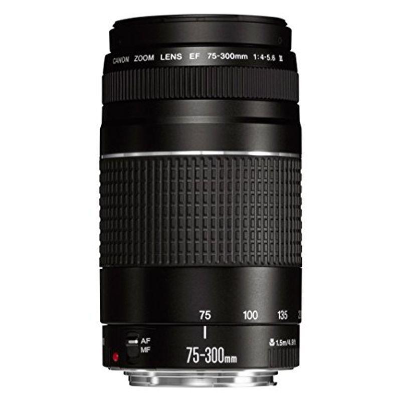 美品 望遠レンズ Canon EF 75-300mm F4-5.6 II Canon EFレンズ EF75-300mm F4-5.6 IIIズームレンズ 望遠 並行輸入品