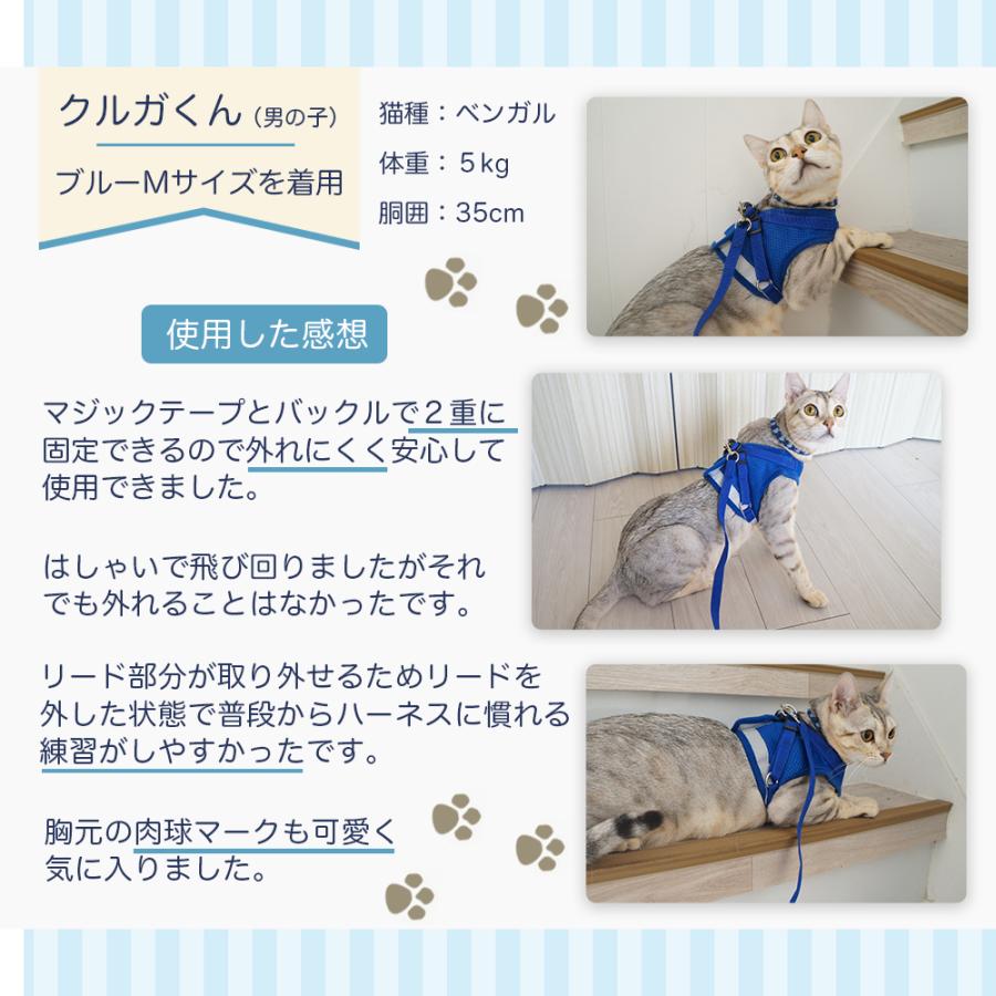 猫服と青いハーネス、首輪、リードセット(おまけ付き) 猫 ハーネス 脱げにくい リードセット 簡単装着 ダブルロック