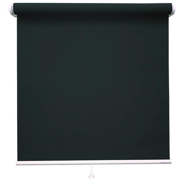 格安販売中 立川機工 ロールスクリーン 1台（直送品） Ｍブラック 75×220cm TR-1017 無地 ロールスクリーン