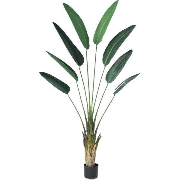 アスカ商会 Asca 造花 ポット付 トラベルパームポット 幅10 高さ1800mm A 051a 1個 直送品 Khabarbani Com