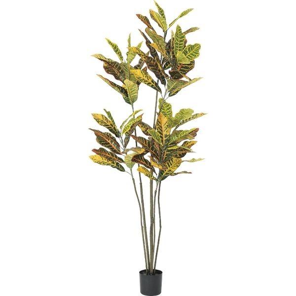 アスカ商会 Asca 造花 ポット付 クロトンポット 幅500 高さ1550mm A 010g 1個 直送品 Mohmmadiyon Com