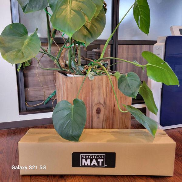 【〜6/6まで出品】 【電位空間発生装置】サンクレド　電位空間マジカルマット　SUN-MAT/5　1台（直送品） 【OCQ3058236558】(111440円)