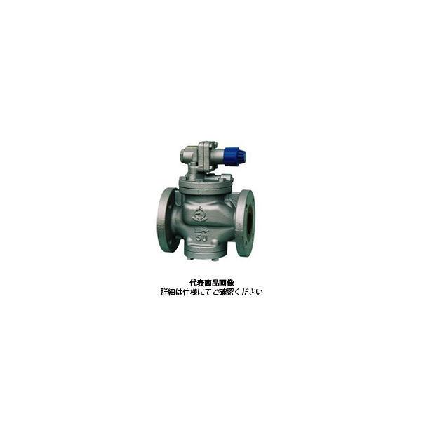 日本産日本産ベン 減圧弁 RP6-B-20A 1個（直送品） 内装