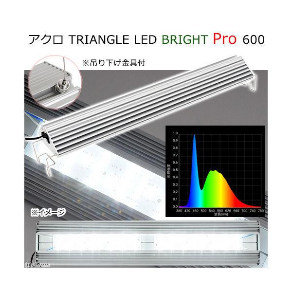 ブランドの古着 Aqullo ｔｒｉａｎｇｌｅ ｌｅｄ ｂｒｉｇｈｔ ｐｒｏ 1個 直送品 値段 Aego Co Rs