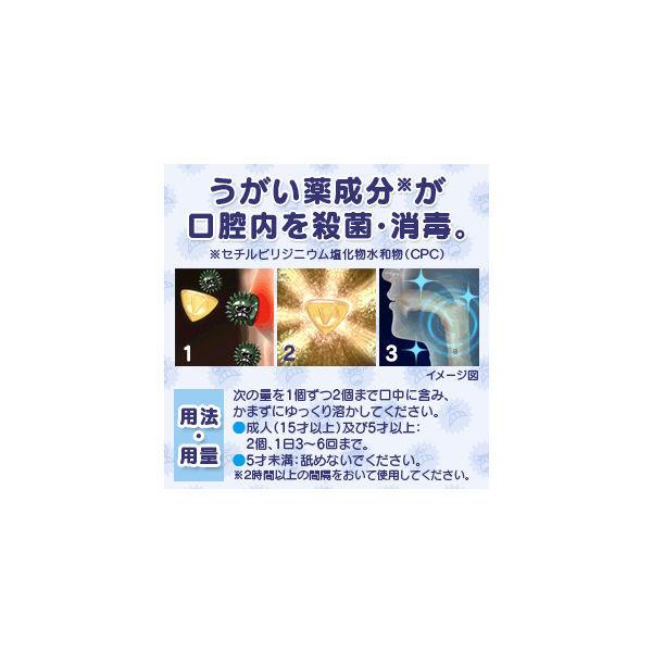 ヴイックス メディケイテッドドロップ シュガーレス グリーンアップル 1箱(25個入) 大正製薬 のど飴 炎症 口臭 のどのあれ のどの痛み|y-lohaco|04