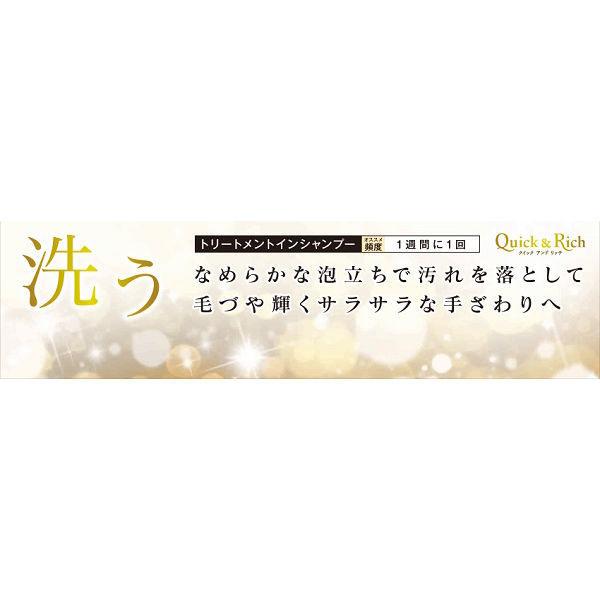 ライオン クイック&リッチ トリートメントインシャンプー 愛犬用 200ml 国産 1本|y-lohaco|04