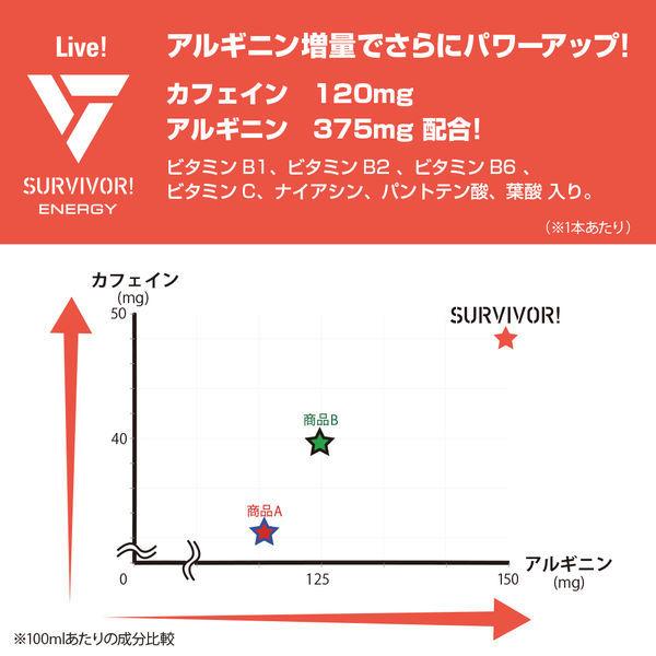 エナジードリンク サバイバーエナジードリンク 送料無料お手入れ要らず 250ml 6缶 1セット