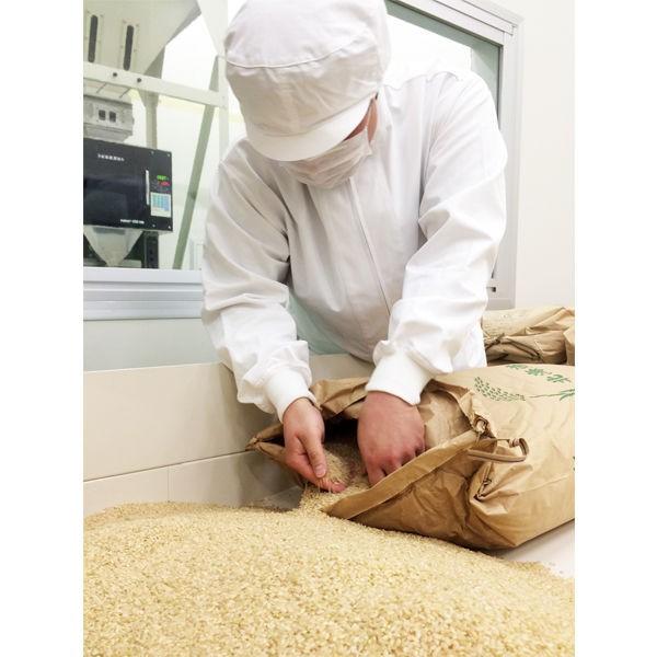 北海道産 ゆめぴりか 2kg 精白米 ろはこ米 令和3年産 ※発送日当日精米 米 お米 オリジナル :1909215:LOHACO Yahoo!店 - 通販 - Yahoo!ショッピング 北海道産 ゆめぴりか 2kg 精白米 ろはこ米 令和3年産 ※発送日当日精米 米 お米 オリジナル :1909215:LOHACO Yahoo!店 - 通販 - Yahoo!ショッピング