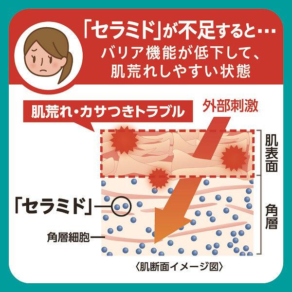 Curel(キュレル) 入浴剤 詰め替え 360mL×2個 花王 敏感肌|y-lohaco|04