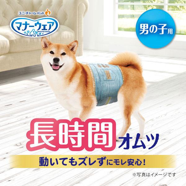 マナーウェア 男の子用 長時間 オムツ 高齢犬にも L 36枚 ペット用 ユニ・チャーム|y-lohaco|03