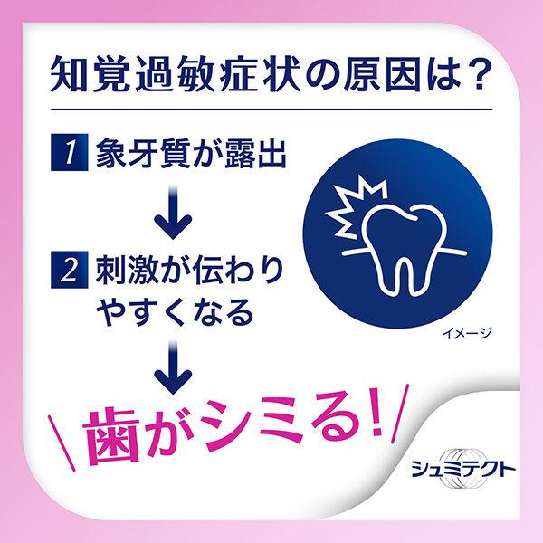医薬部外品 薬用シュミテクト 歯周病ケア 知覚過敏予防 歯磨き粉 90g 1