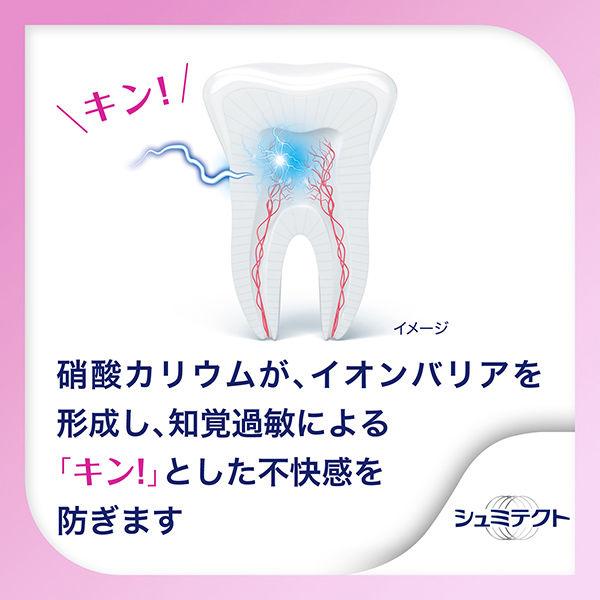 医薬部外品 薬用シュミテクト 歯周病ケア 知覚過敏予防 歯磨き粉 90g 1