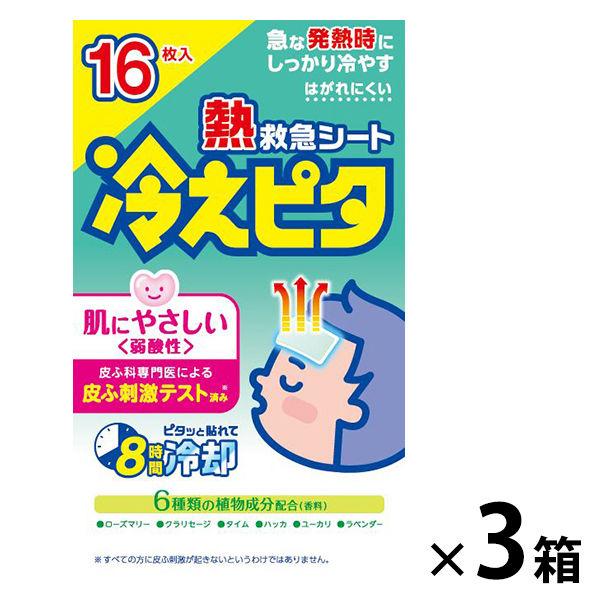 冷えピタ 子供用 16枚入 店舗 3箱 ライオン 1セット