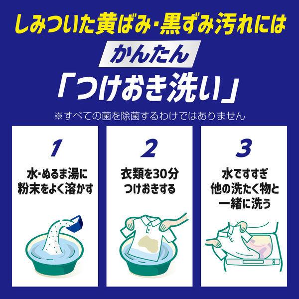 ワイドハイター PRO プロ 強力分解パウダー 粉末タイプ 本体 530g 1本 衣料用漂白剤 花王|y-lohaco|04