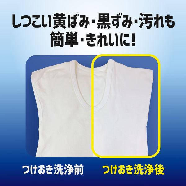 ワイドハイター PRO プロ 強力分解パウダー 粉末タイプ 本体 530g 1本 衣料用漂白剤 花王|y-lohaco|06