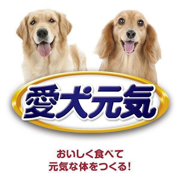 愛犬元気 卓抜 お肉たっぷり 13歳以上用 ビーフ 緑黄色野菜入り 375g ドッグフード ウェット 缶詰1 犬 596円 12缶 愛犬元気 卓抜 お肉たっぷり 13歳以上用 ビーフ 緑黄色野菜入り 375g ドッグフード ウェット 缶詰1 犬 596円 12缶