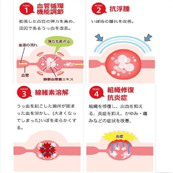 贈呈 ヘモリンド舌下錠 20錠 小林製薬【第2類医薬品】 秀逸