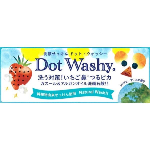 ドットウォッシー 洗顔石鹸 75g ペリカン石鹸 Lohaco Paypayモール店 通販 Paypayモール