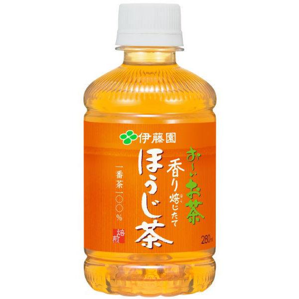 伊藤園 おーいお茶 ほうじ茶 280ml 1箱(24本入)|y-lohaco|02