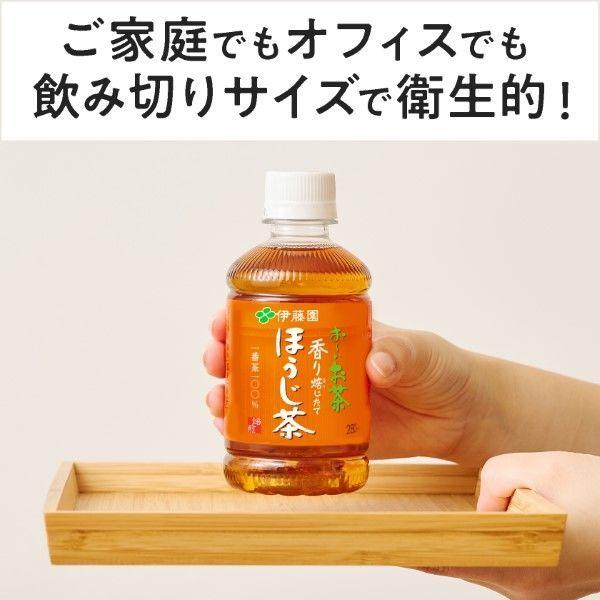 伊藤園 おーいお茶 ほうじ茶 280ml 1箱(24本入)|y-lohaco|03