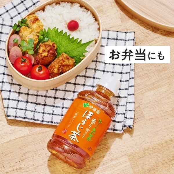 伊藤園 おーいお茶 ほうじ茶 280ml 1箱(24本入)|y-lohaco|05