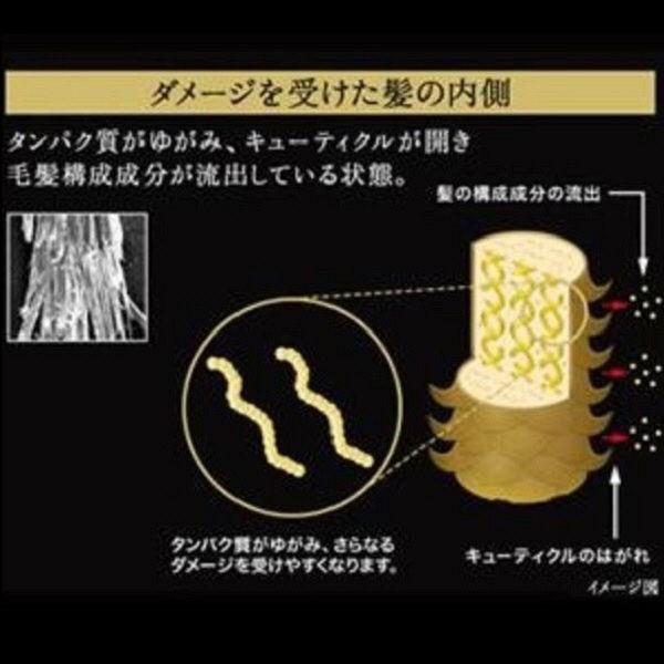 ラックス(LUX) バイオフュージョン ダメージディフェンス コンディショナー 詰め替え 200g ユニリーバ|y-lohaco|05