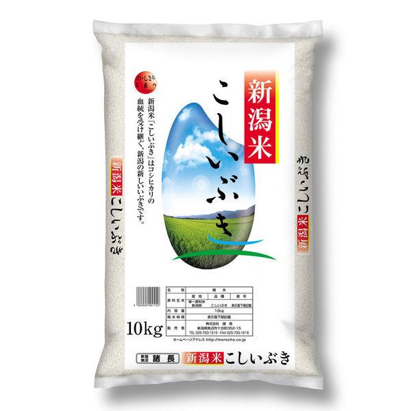 超激安特価 米 セールSALE％OFF 10kg 新潟県産 こしいぶき お米 令和2年産 精白米 白米