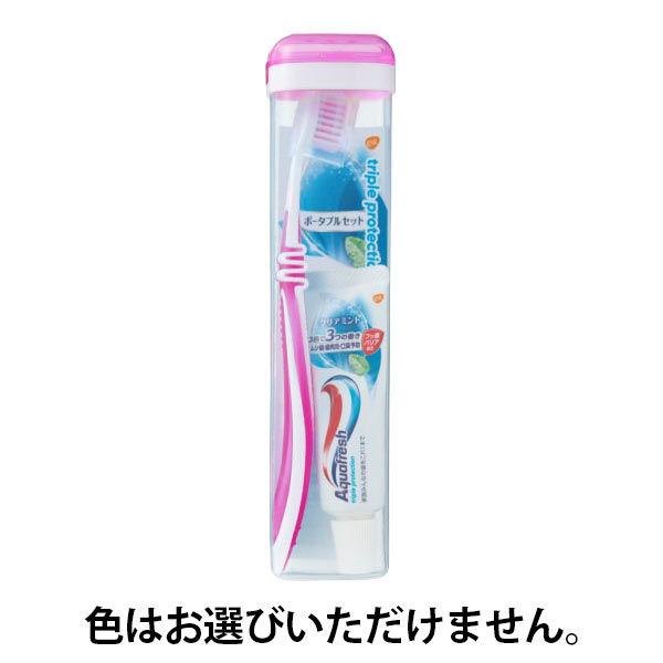 アクアフレッシュ トラベル ソフトケース 歯磨き粉 グラクソ スミスクライン 美品 アクアフレッシュ トラベル ソフトケース 歯磨き粉 グラクソ スミスクライン 美品