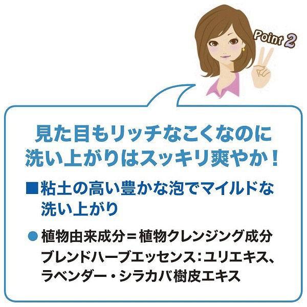 無料長期保証 シーブリーズ ボディシャンプー クール デオドラントj 600ml ファイントゥデイ資生堂 Whitesforracialequity Org