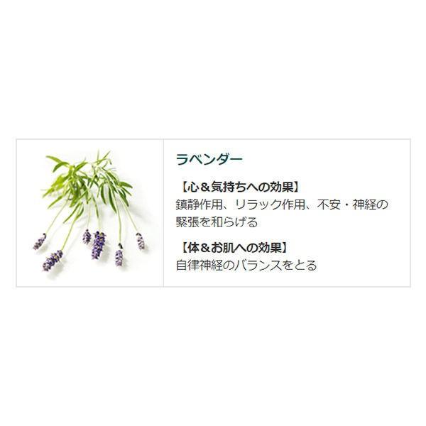 クナイプ バスソルト ラベンダーの香り 850g クナイプジャパン (透明タイプ) :8371613:LOHACO Yahoo!店 - 通販 - Yahoo!ショッピング クナイプ バスソルト ラベンダーの香り 850g クナイプジャパン (透明タイプ) :8371613:LOHACO Yahoo!店 - 通販 - Yahoo!ショッピング