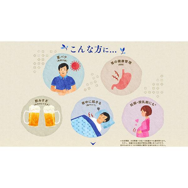 最大54%OFFクーポン最大54%OFFクーポン太田胃散 140g 太田胃散 飲みすぎ・胸やけ・胃部不快感・胃もたれ・食べすぎ 胃腸薬 薬)太田胃散 太田胃散 140g