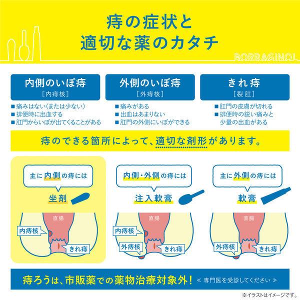 低廉 ボラギノールa坐剤 10個 天藤製薬 指定第2類医薬品 お気に入り