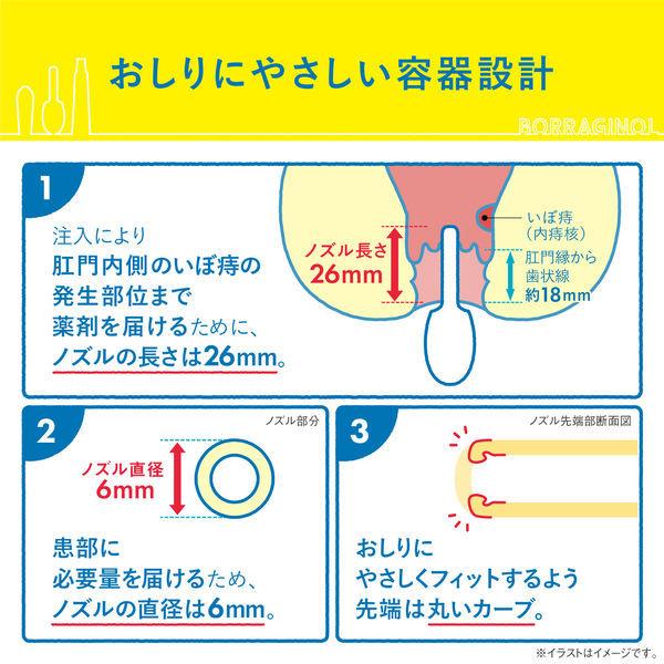 ボラギノールa注入軟膏 送料無料カード決済可能 2g 10個 指定第2類医薬品 天藤製薬