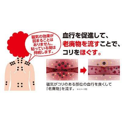 ピップ エレキバン130 磁束密度130ミリテスラ 1箱(24粒入) ピップ|LOHACO |05