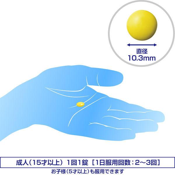 エスファイトゴールド 240錠 エスエス製薬 B1 B6 B12製剤 神経痛 手足のしびれ 眼精疲労【第3類医薬品】|y-lohaco|07