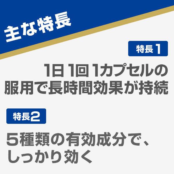 アネロン「ニスキャップ」 9カプセル エスエス製薬 物酔いによるはきけ・めまい【指定第2類医薬品】|y-lohaco|05