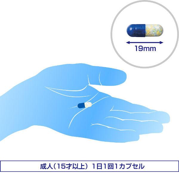 アネロン「ニスキャップ」 9カプセル エスエス製薬 物酔いによるはきけ・めまい【指定第2類医薬品】|y-lohaco|08