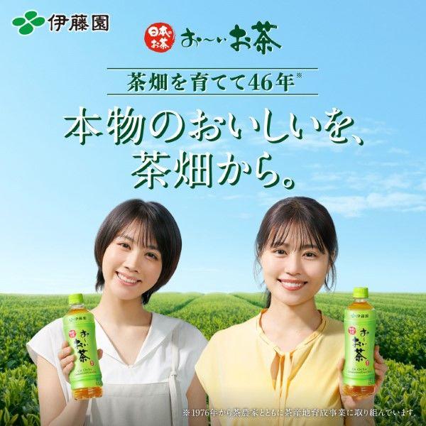 伊藤園 おーいお茶 緑茶 2L 1箱(6本入)|y-lohaco|02