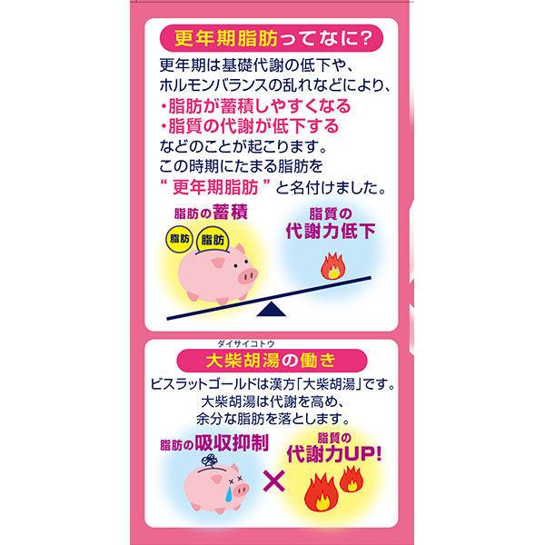 ビスラットゴールドb 140錠 小林製薬 第2類医薬品 Lohaco Paypayモール店 通販 Paypayモール