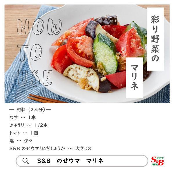エスビー食品 SB のせウマ!ねぎしょうが 5個 生姜 :AA91371:LOHACO Yahoo!店 - 通販 - Yahoo!ショッピング エスビー食品 SB のせウマ!ねぎしょうが 5個 生姜 :AA91371:LOHACO Yahoo!店 - 通販 - Yahoo!ショッピング