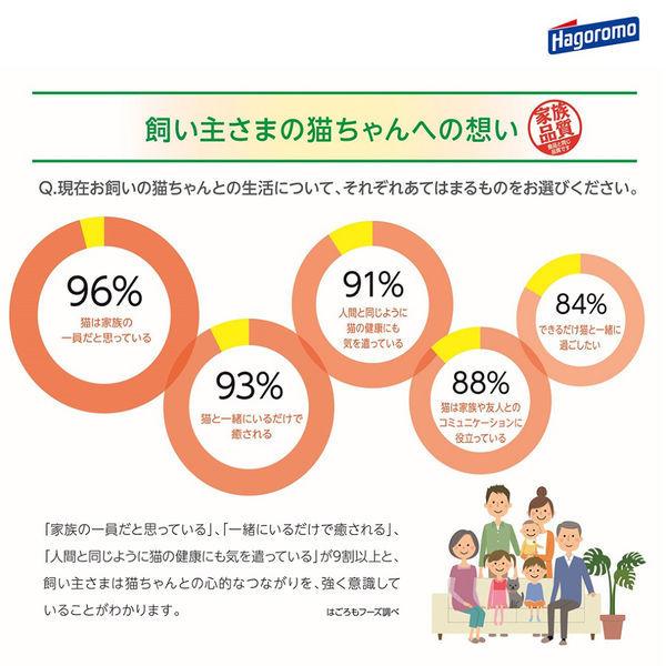 無一物 寒天ゼリー 鶏むね肉 大容量 国産 120g 12袋 はごろもフーズ キャットフード ウェット パウチ|y-lohaco|07