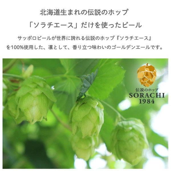 父の日ギフト クラフビール (ビアグラス2個おまけ付)(数量限定) SORACHI1984(ソラチ) 2セット(16本)|y-lohaco|06