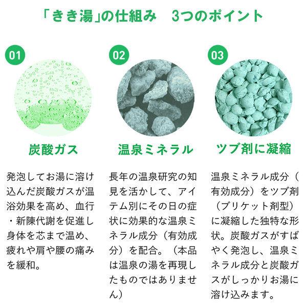 【セール】きき湯 炭酸入浴剤 清涼炭酸湯 ミント&ライムの香り 詰め替え 480g お湯の色 シーブルー(透明タイプ)バスクリン|LOHACO |03