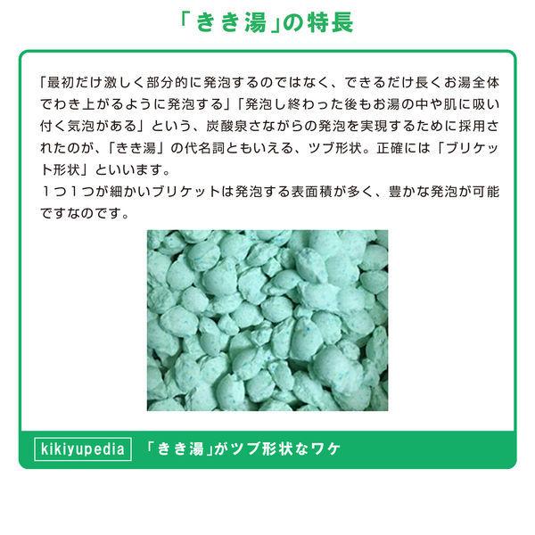 【セール】きき湯 炭酸入浴剤 清涼炭酸湯 ミント&ライムの香り 詰め替え 480g お湯の色 シーブルー(透明タイプ)バスクリン|LOHACO |04