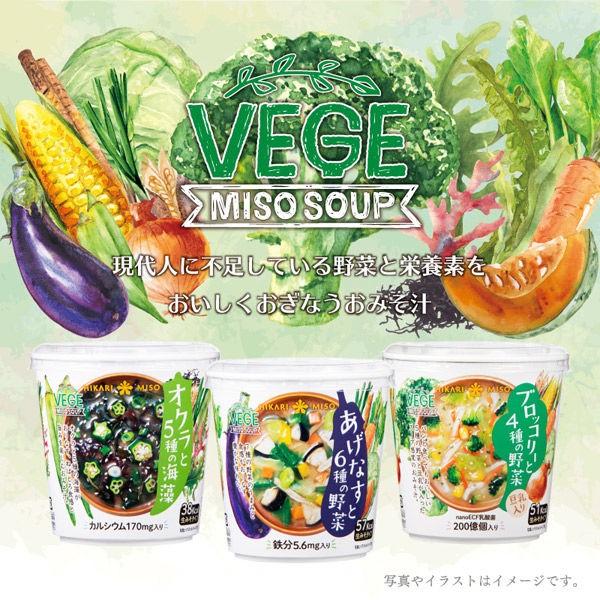 ひかり味噌 Vege Miso Soupカップあげなすと6種の野菜 3個 Lohaco Paypayモール店 通販 Paypayモール