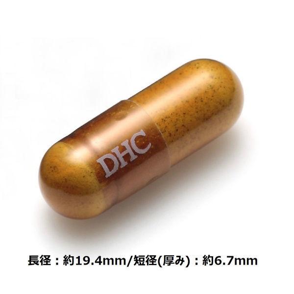 Dhc マカストロング 日分 スタミナ強壮 アルギニン 亜鉛 シトルリン ディーエイチシーサプリメント 健康食品 Lohaco Paypayモール店 通販 Paypayモール